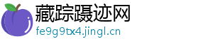 藏踪蹑迹网